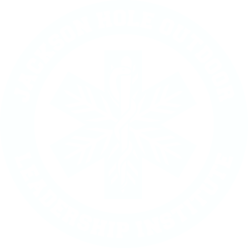 jholi-logo